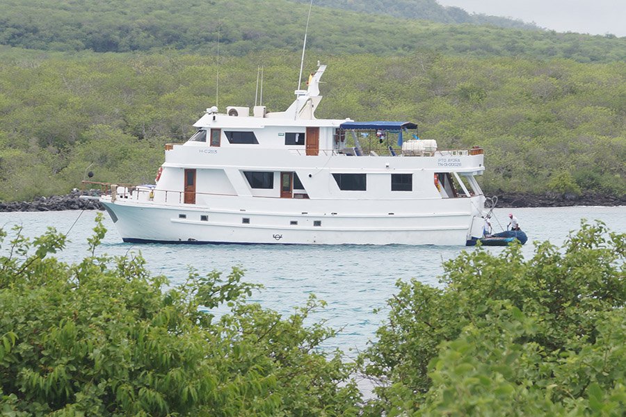 Darwin Yacht, Galapagos